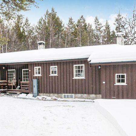 Awesome Home In Tynset With House A Mountain View Extérieur photo