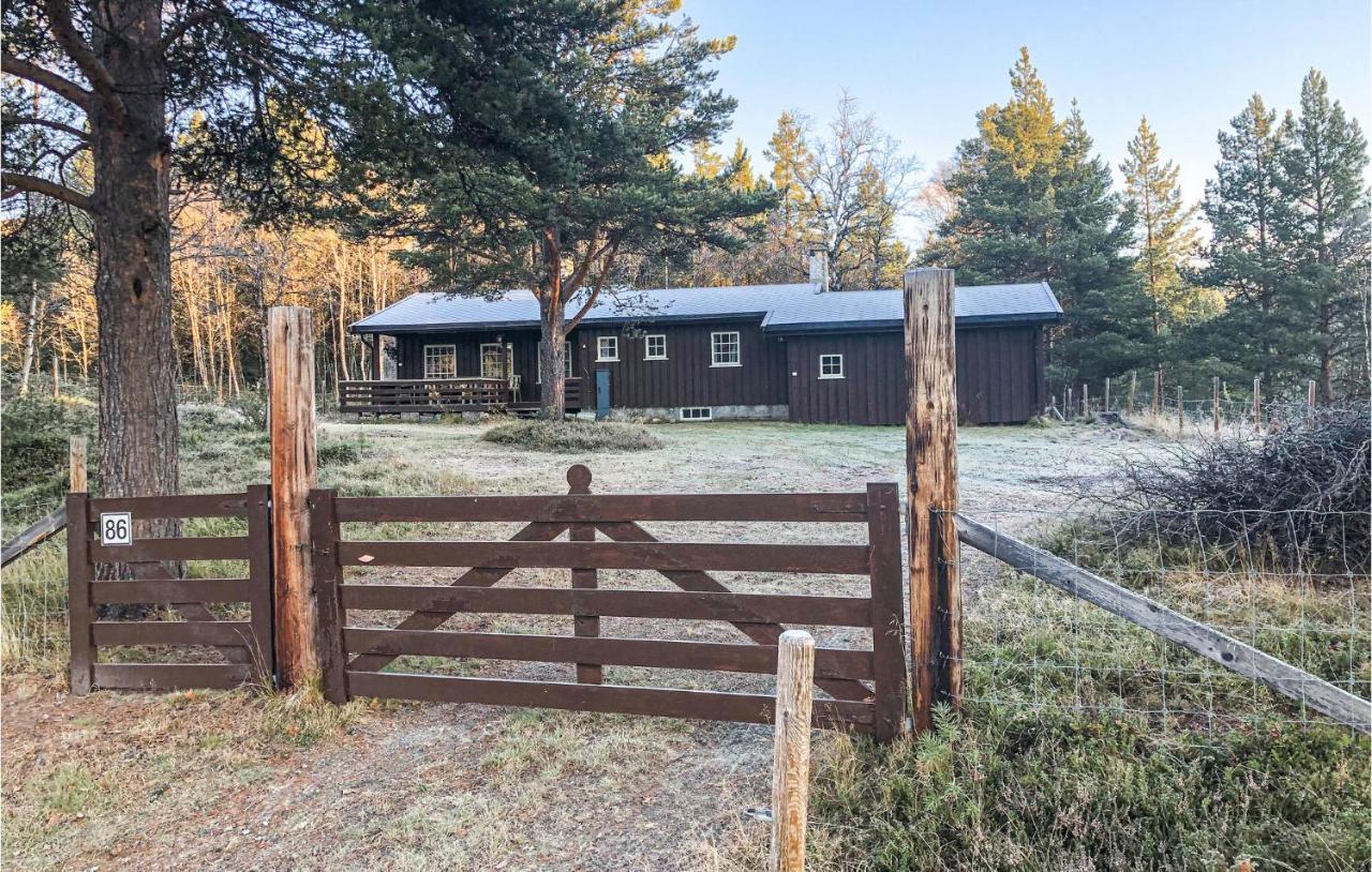 Awesome Home In Tynset With House A Mountain View Extérieur photo